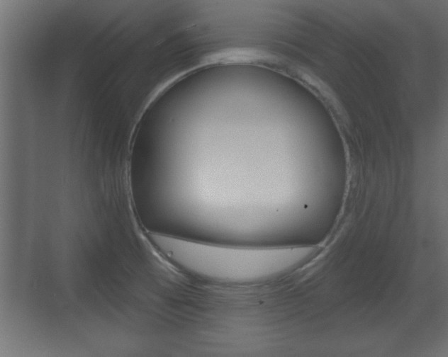 X0000073521473200607310937