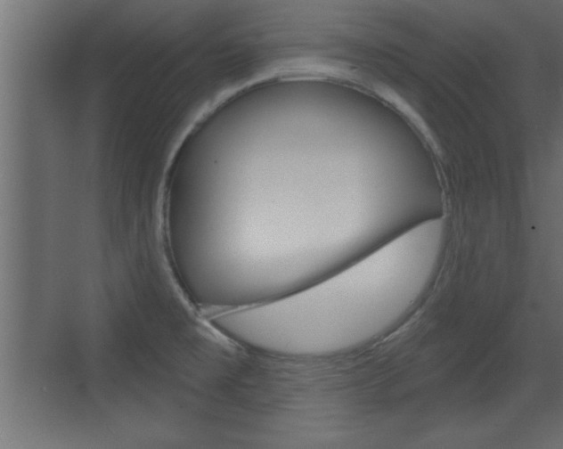 X0000073521477200607310937