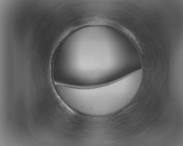 X0000073521480200607310937