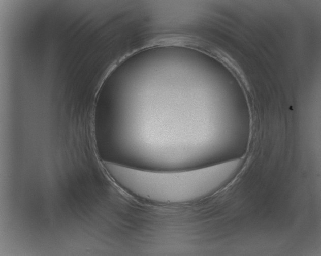 X0000073521481200607310937