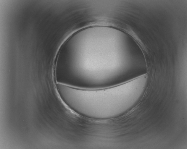 X0000073521484200607310937