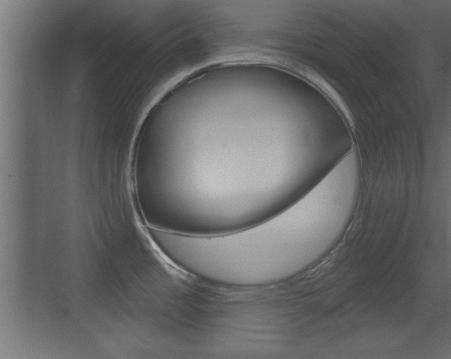 X0000073521485200607310937