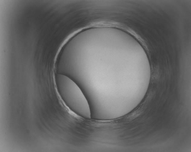 X0000073521486200607310937