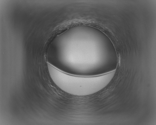X0000073521492200607310936