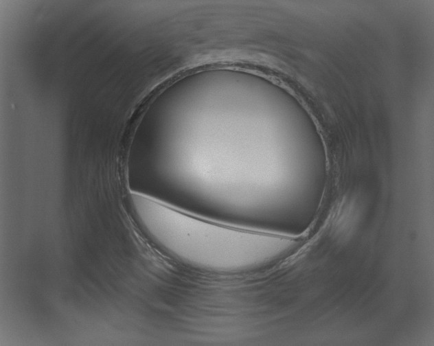 X0000073521497200607310936