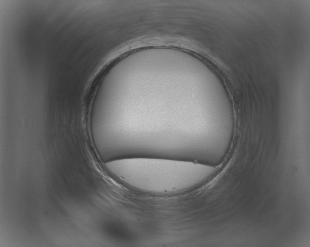 X0000073521498200607310936