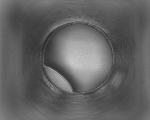 X0000073521499200607310936
