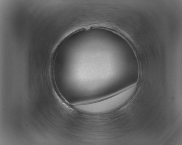 X0000073521500200607310936