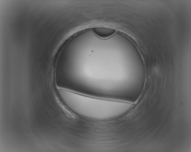 X0000073521507200607310936