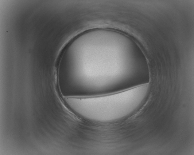 X0000073521509200607310936