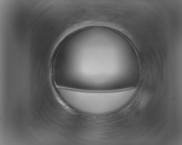 X0000073521511200607310936