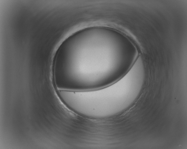 X0000073521512200607310936
