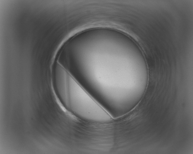 X0000073521515200607310936