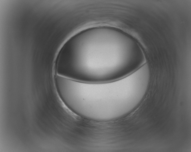 X0000073521516200607310936