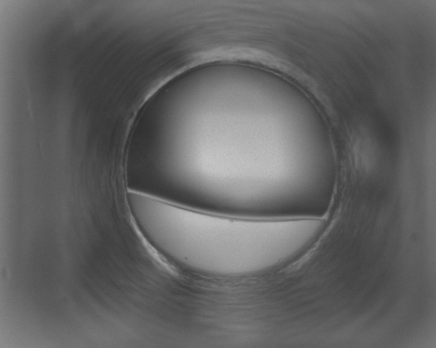 X0000073521521200607310936
