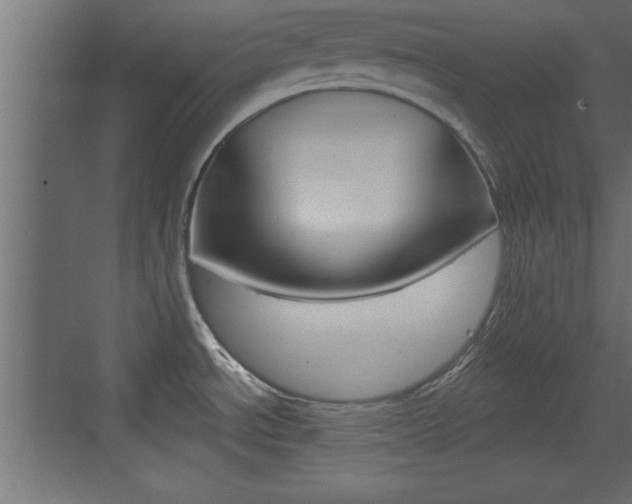 X0000073521534200607310937