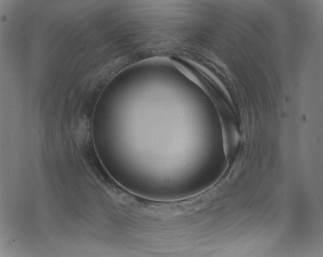 X0000073520029200607311235