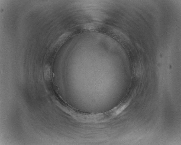 X0000073520036200607311235