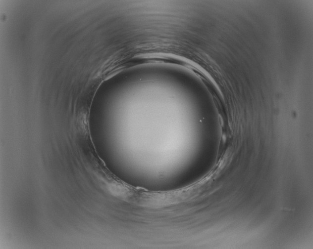 X0000073520045200607311235