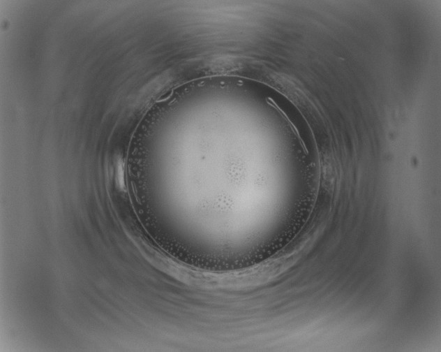X0000073520046200607311235