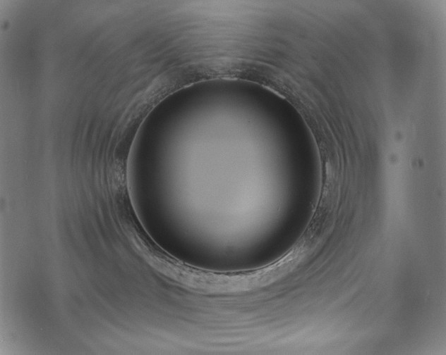 X0000073520048200607311235