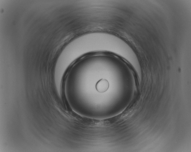 X0000073520072200607311234