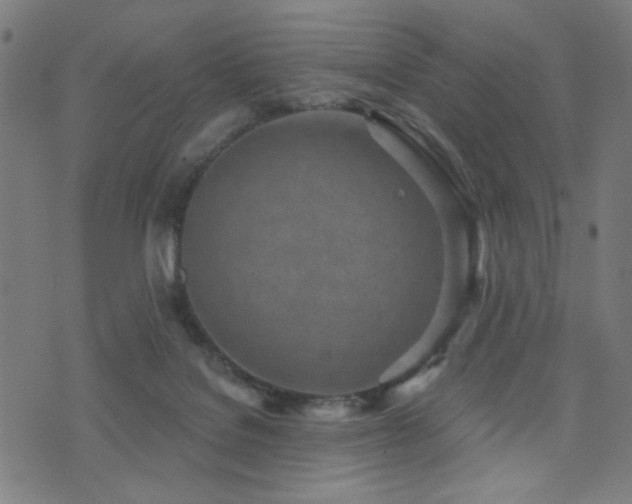 X0000073520076200607311234