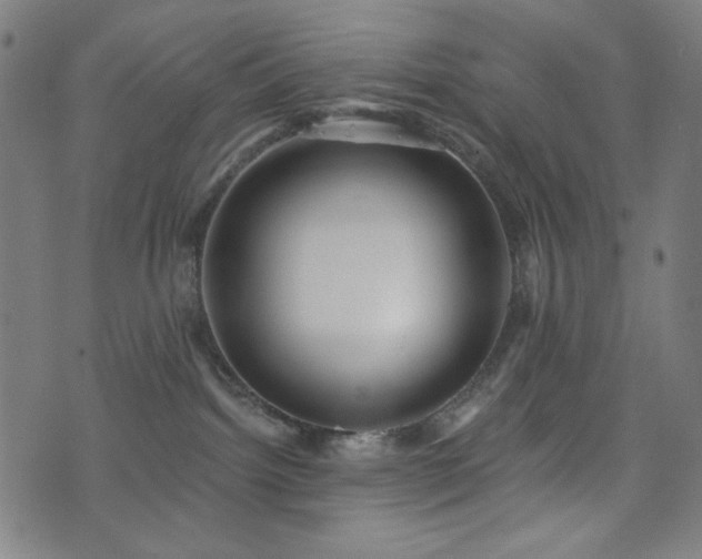 X0000073520092200607311235