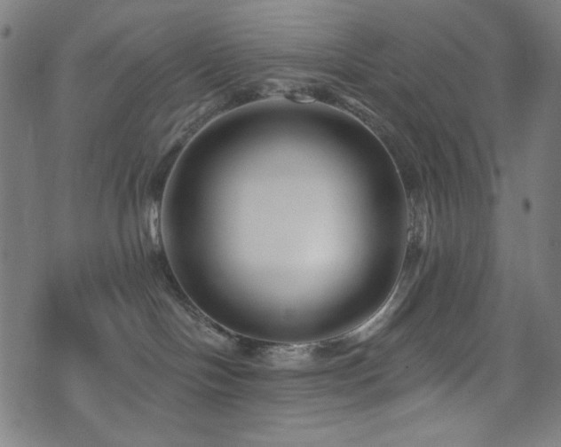 X0000073520094200607311235