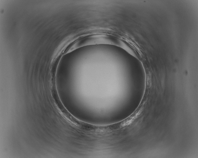 X0000073520101200607311234