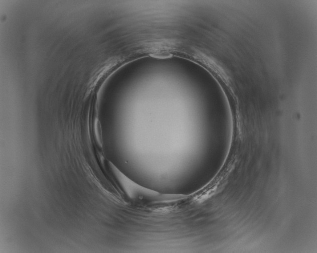 X0000073520105200607311234