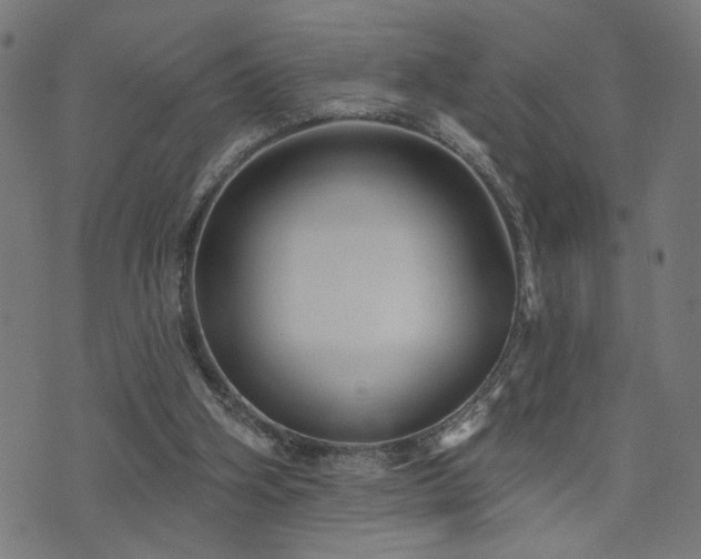 X0000073520106200607311234