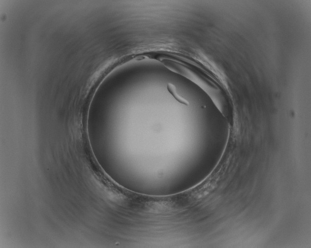 X0000073520107200607311234