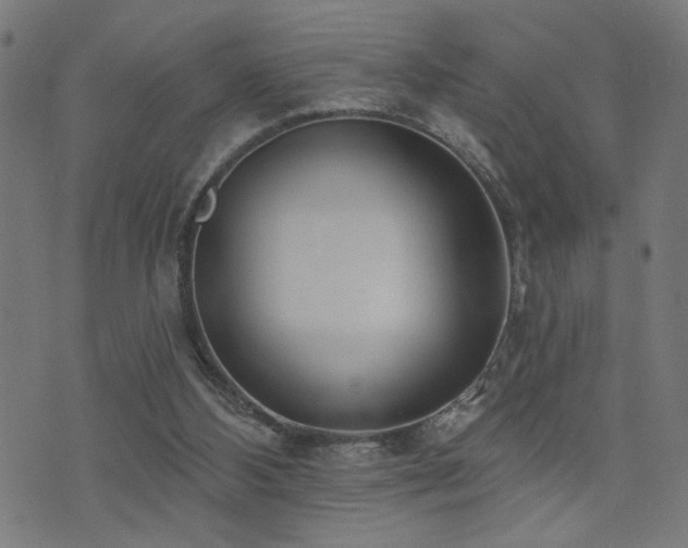 X0000073520108200607311234