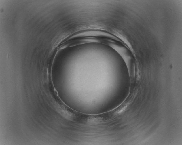 X0000073520109200607311234