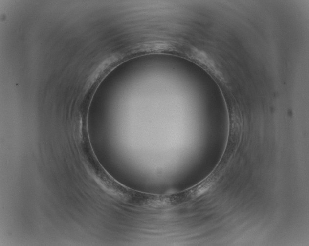 X0000073520110200607311234