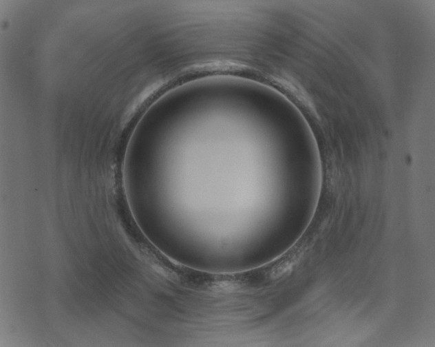 X0000073520111200607311234
