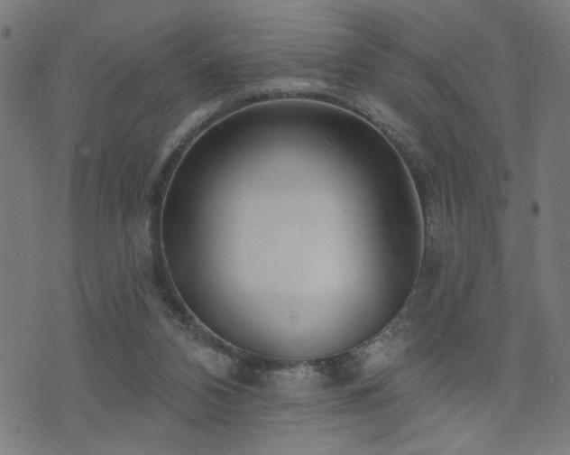 X0000073520112200607311234