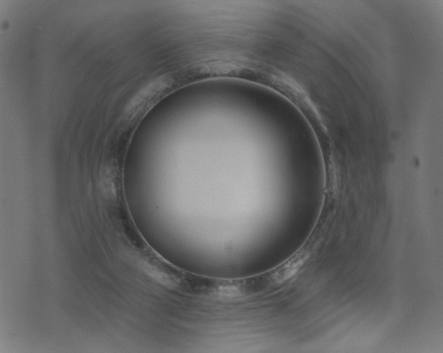X0000073520114200607311234