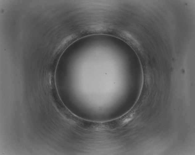 X0000073520115200607311234