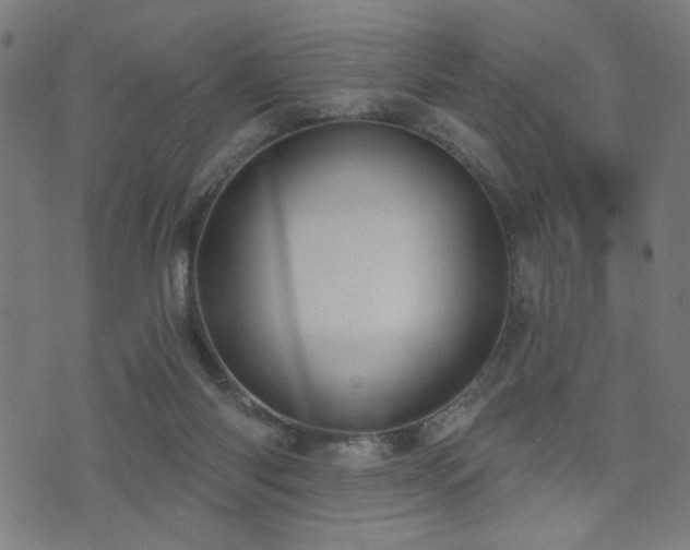 X0000073520118200607311234
