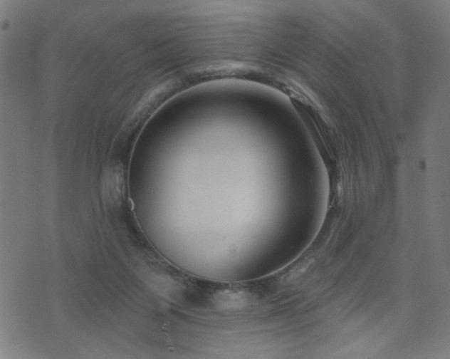 X0000073520119200607311234