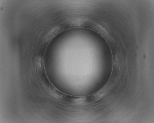 X0000073520122200607311234