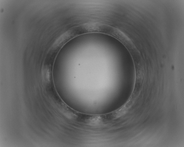 X0000073520124200607311234