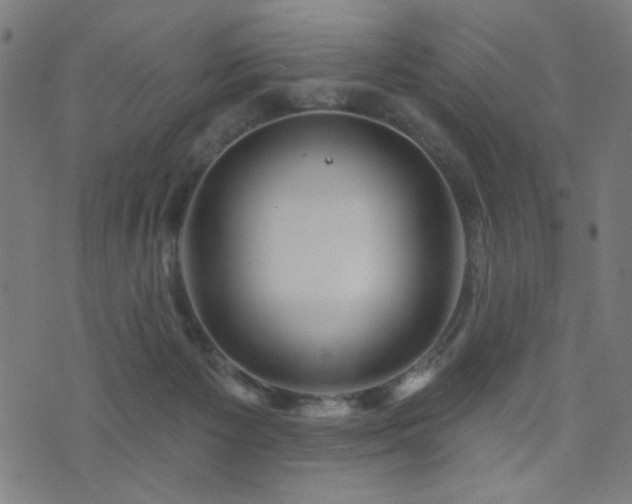 X0000073520125200607311233