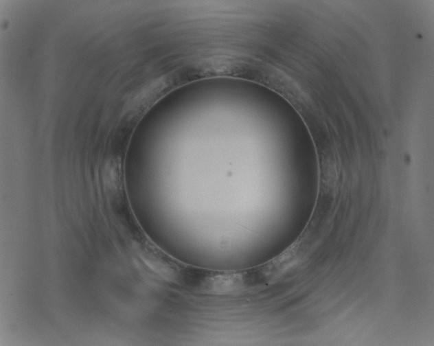 X0000073520126200607311233
