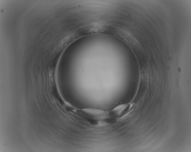 X0000073520127200607311233
