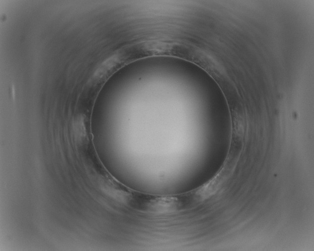 X0000073520128200607311233