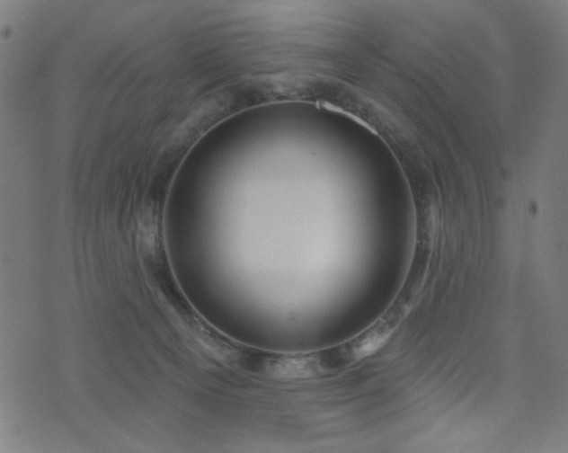 X0000073520129200607311233