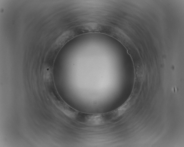 X0000073520132200607311233
